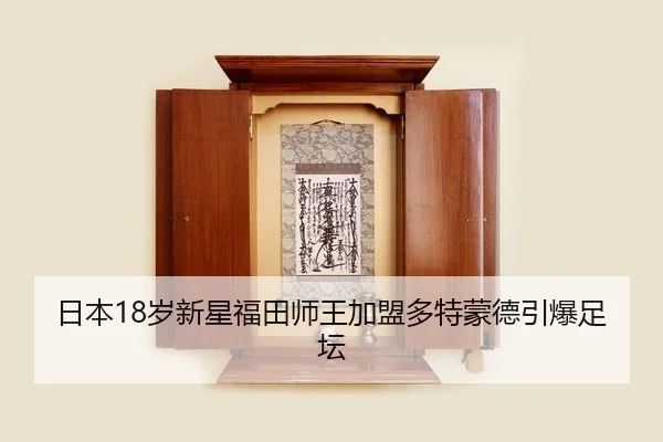 ri-ben-sui-xin-xing-fu-tian-shi-wang-jia-meng-duo-te-meng-de-yin-bao-zu-tan-3-695.jpg