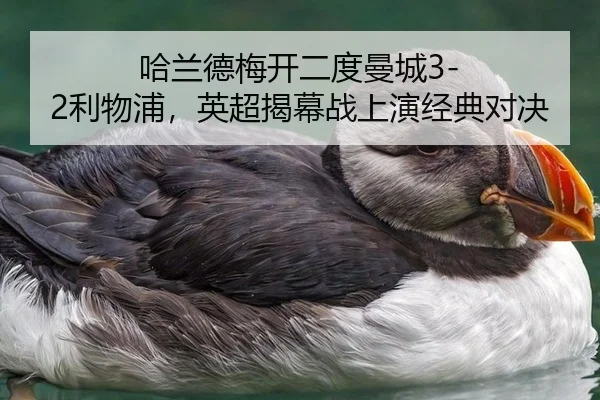 哈兰德梅开二度曼城3-2利物浦，英超揭幕战上演经典对决